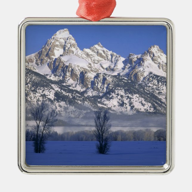 GRAND TETON NATIONELLT PARK, WYOMING. USA. Foder o Julgransprydnad Metall (Framsidan)