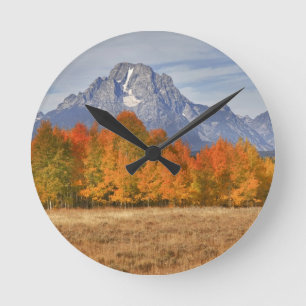 Grand Teton NP, berget Moran och aspen träd Rund Klocka