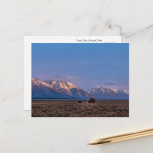 Grand Teton öppna marker Vykort