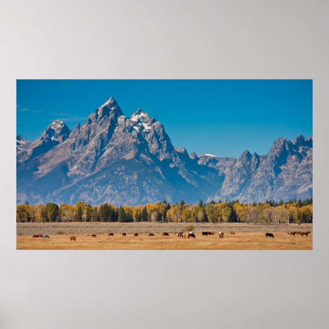 Grand Teton Poster (Framsidan)