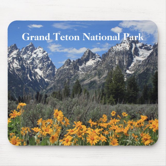 Grand Teton Springtime Souvenir Photo Musmatta (Framsidan)