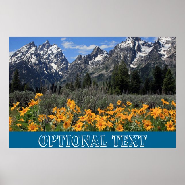 Grand Teton Springtime Souvenir Photo Poster (Framsidan)