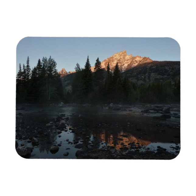 Grand Teton Sunrise i Cottonwood Bäck Magnet (Horisontell)