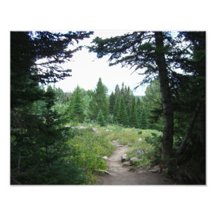 Grand Teton Trail Fototryck