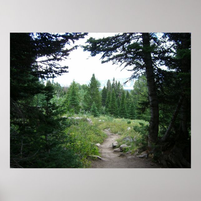 Grand Teton Trail Poster (Framsidan)