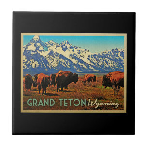Grand Teton Wyoming Buffalo Kakelplatta
