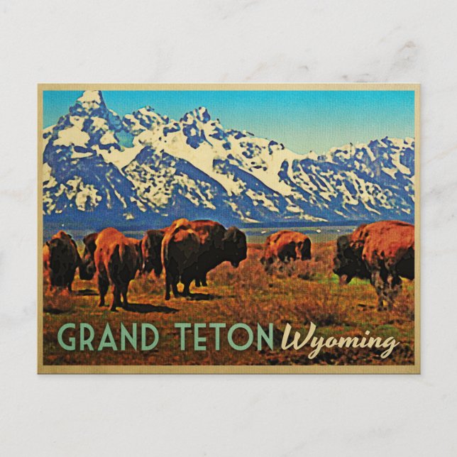 Grand Teton Wyoming Buffalo Vykort (Framsida)