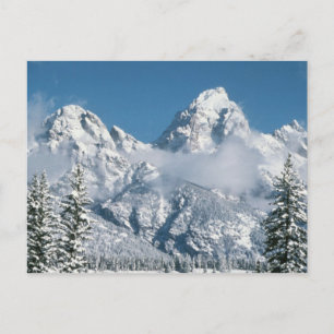 Grand Tetons in Winter Vykort