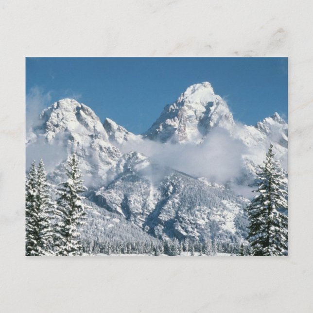 Grand Tetons in Winter Vykort (Framsida)