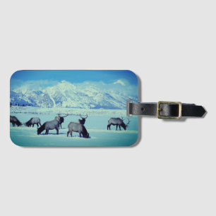 Grand Tetons och Elk i Winter Luggage Tag Bagagebricka