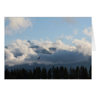 Grand Tetons och hawk Hälsningskort