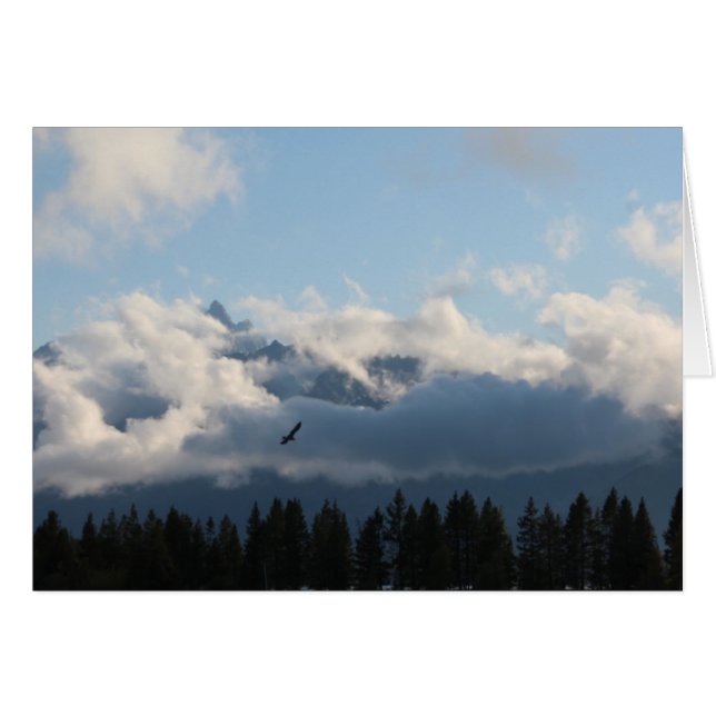 Grand Tetons och hawk Hälsningskort (Framsidan Horizontal)