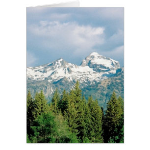 Grand Tetons Park Hälsningskort