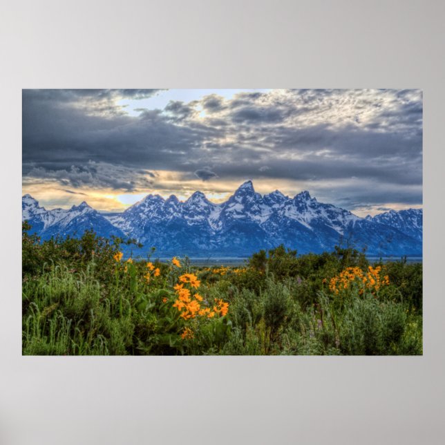 Grand Tetons Poster (Framsidan)