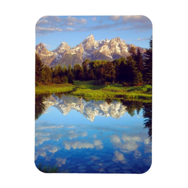 Grand Tetons som reflekterar i Snake River Magnet (Vertikal)