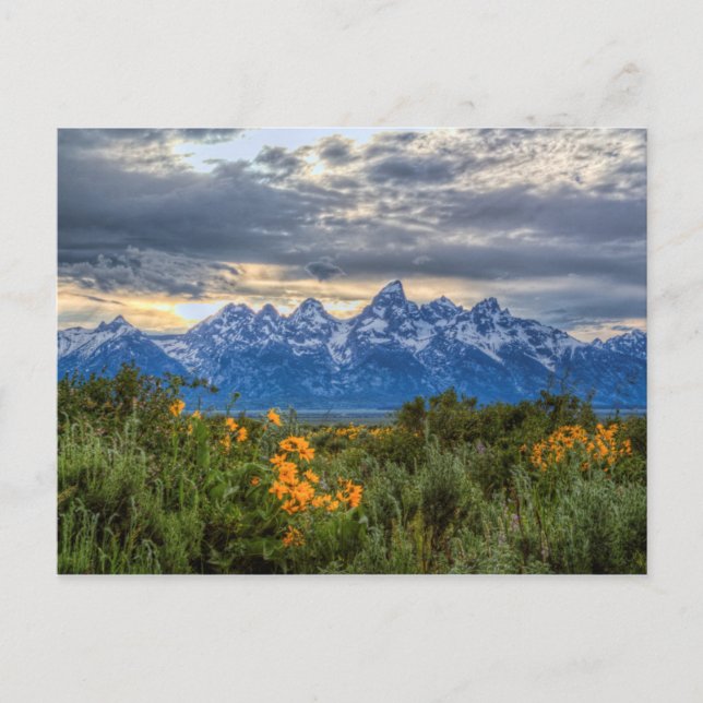 Grand Tetons Vykort (Framsida)