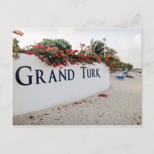 Grand Turk Beach Scene Vykort (Framsida)
