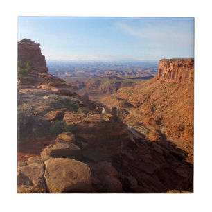 Grand View Point i Canyonlands National Park Kakelplatta
