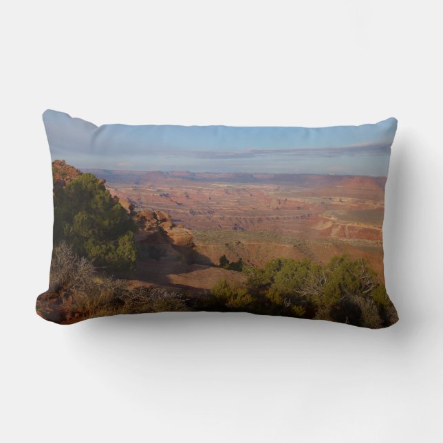 Grand View Point i Canyonlands National Park Lumbarkudde (Framsida)