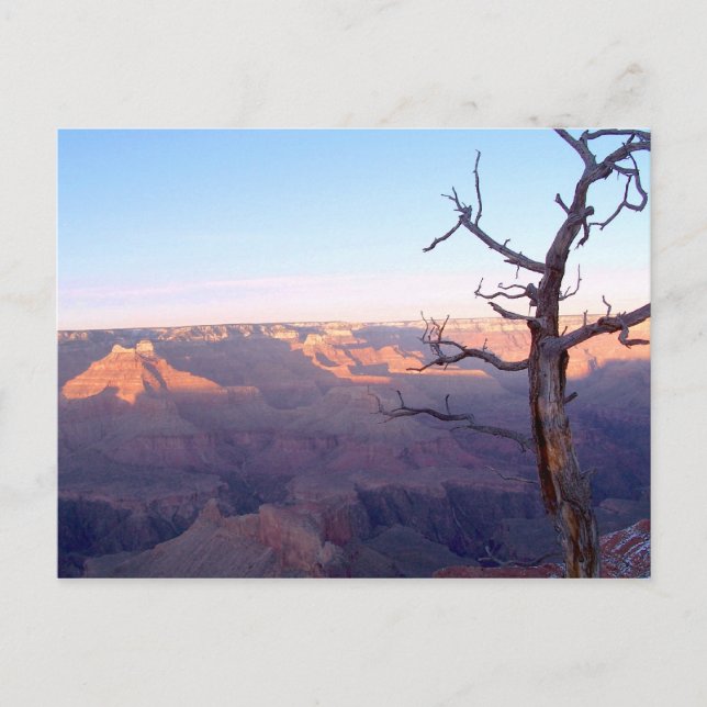 GrandCanyon-View#1 vykort (Framsida)