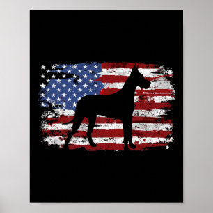 Granddansk gammal amerikansk flagga poster