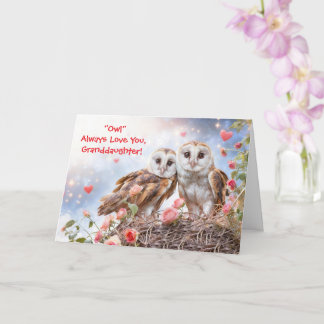 Granddaughter Cute and Fun Owl Valentines  Kort