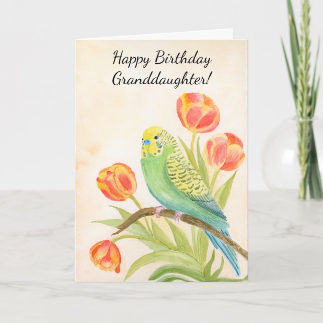 Granddaughter Happy Birthday Parakeet with Tulips Kort (Framsida)