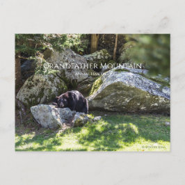 Grandfather Mountain Park Vykort
