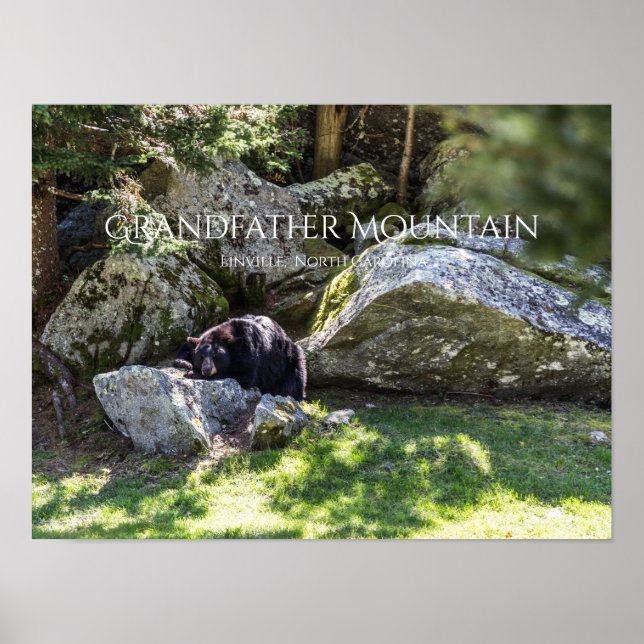 Grandfather Mountain Poster (Framsidan)