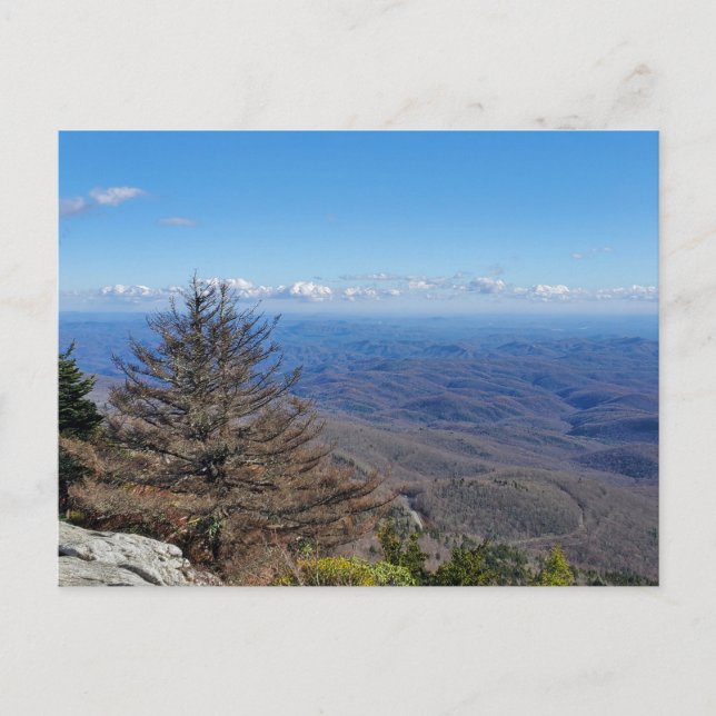 Grandfather Mountain State Park NC Entrance Road Vykort (Framsida)