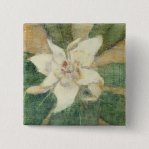 Grandiflora Magnolia Knapp