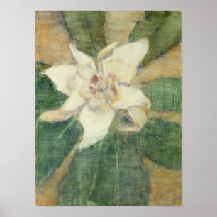 Grandiflora Magnolia Poster