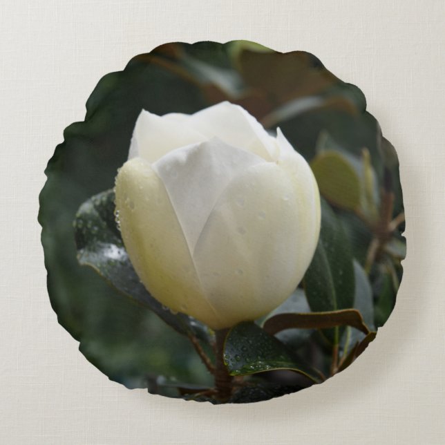 Grandiflora rundadekorativ kudde för Magnolia (Framsidan)