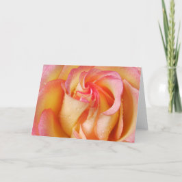 Grandiflora steg kort