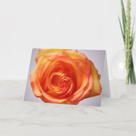 Grandiflora steg tack kort