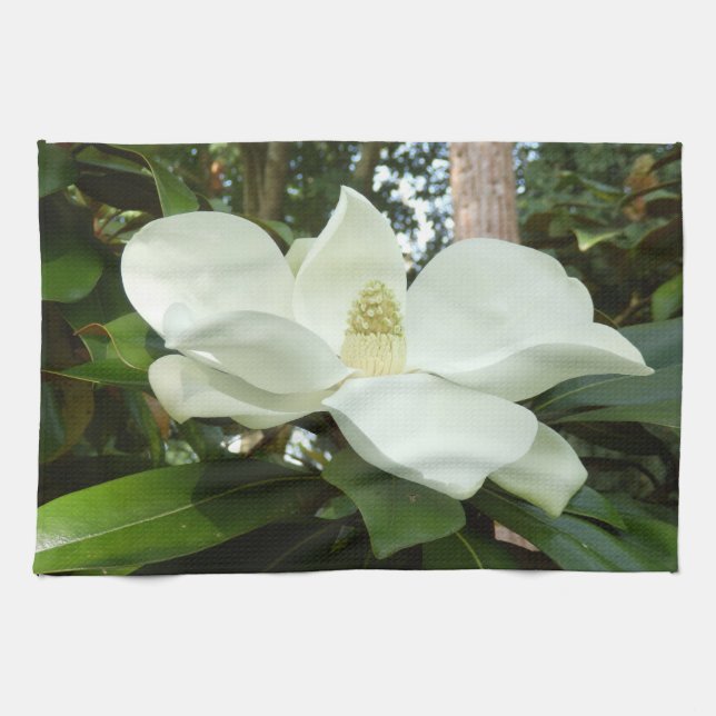 Grandiflora Teahandduk för Magnolia Kökshandduk (Horisontell)