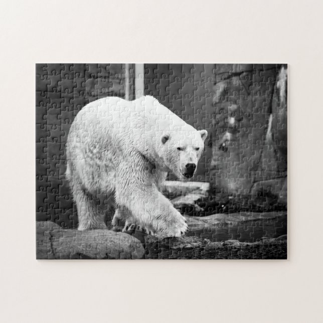 Grandiose Polar Bear, Jigszawa Puzzle Pussel (Horisontell)