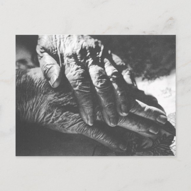 Grandma Händer Vykort (Framsida)