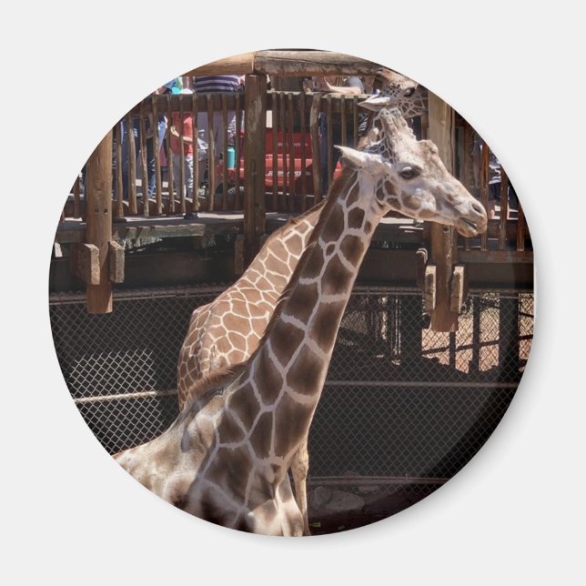 Grandma Magnet #1 (Framsidan)