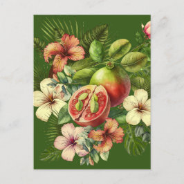 Grandma Manuela's Guavas Vykort