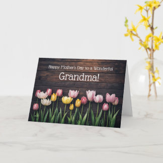 Grandmother Happy Mothers Day with Pretty Tulip Kort