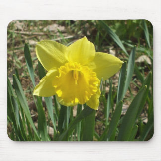 Grandparent's Bright Yellow Daffodil Mouse Pad Musmatta