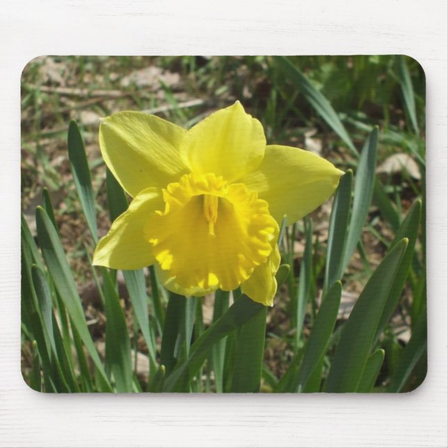 Grandparent's Bright Yellow Daffodil Mouse Pad Musmatta (Framsidan)