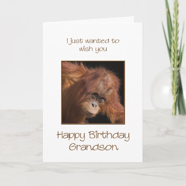 Grandson Birthday, Orang Utan Kort (Framsida)