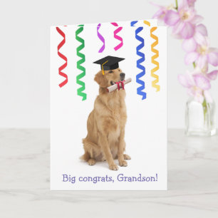 Grandson Cute Hund Studenten Kort