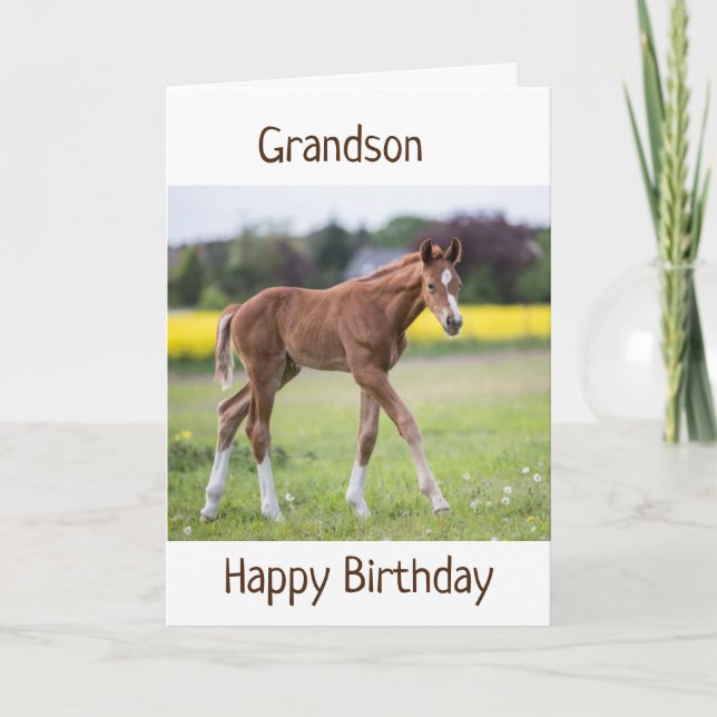 *GRANDSON* DIN BIRTHDAY ÄR EN SPECIELL DAG KORT (Framsida)