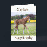 *GRANDSON* DIN BIRTHDAY ÄR EN SPECIELL DAG KORT<br><div class="desc">TACK FÖR ATT VI STOPPADE MED 1 AV MINA 8 LAGER!</div>