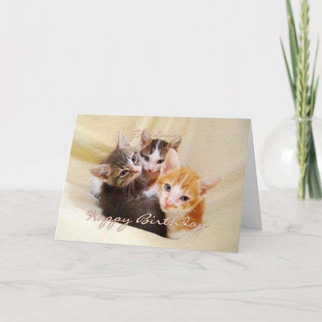 Grandson Grattis på födelsedagen Trio of Kittens Kort (Framsida)
