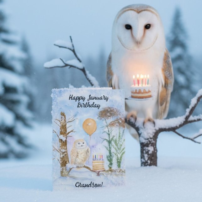 Grandson Happy January Birthday Owl Cake Kort (Skapare uppladdad)