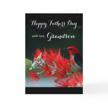 Grandson/Lycklig Fars dag - Scarlet Honeyeater